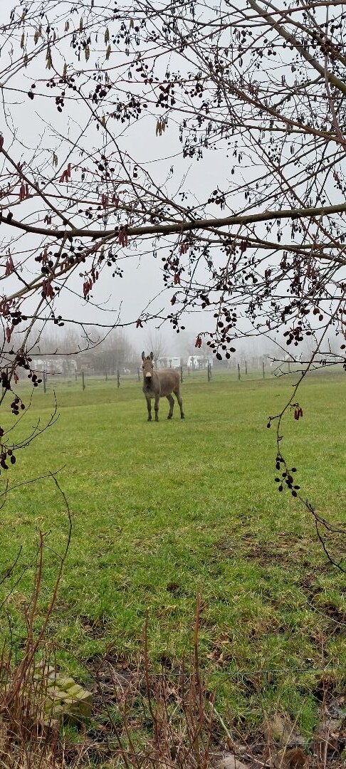 Cotlandenpad Amerongen