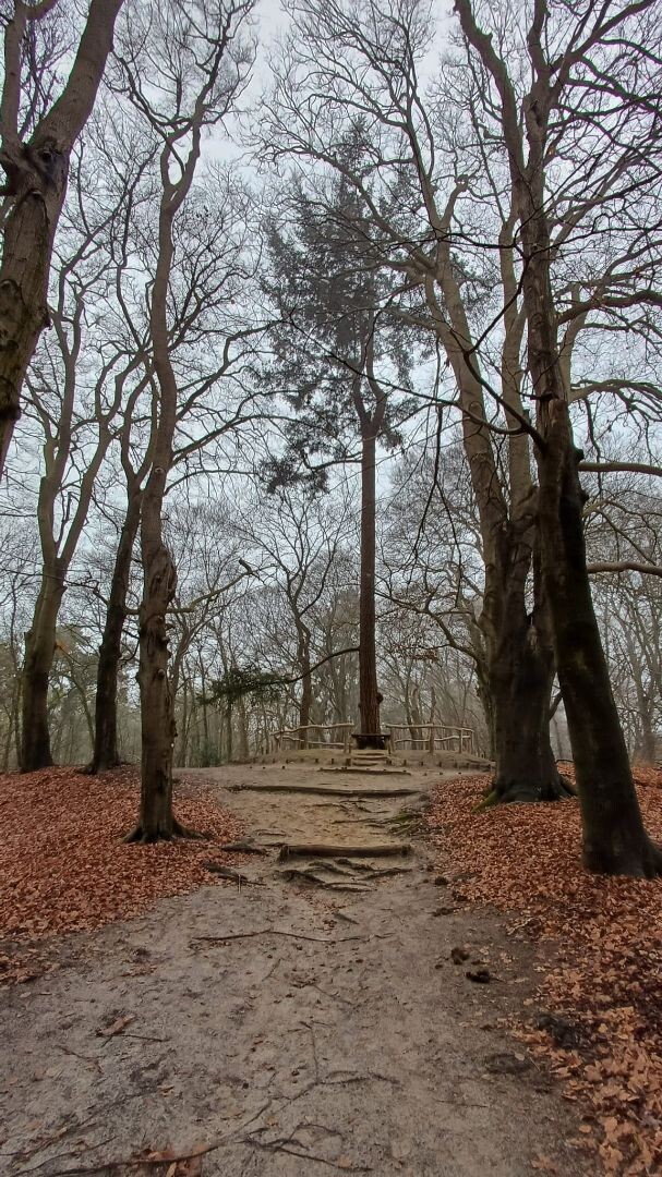 Dalfsen - Ommen · Vechtdalpad etappe 2