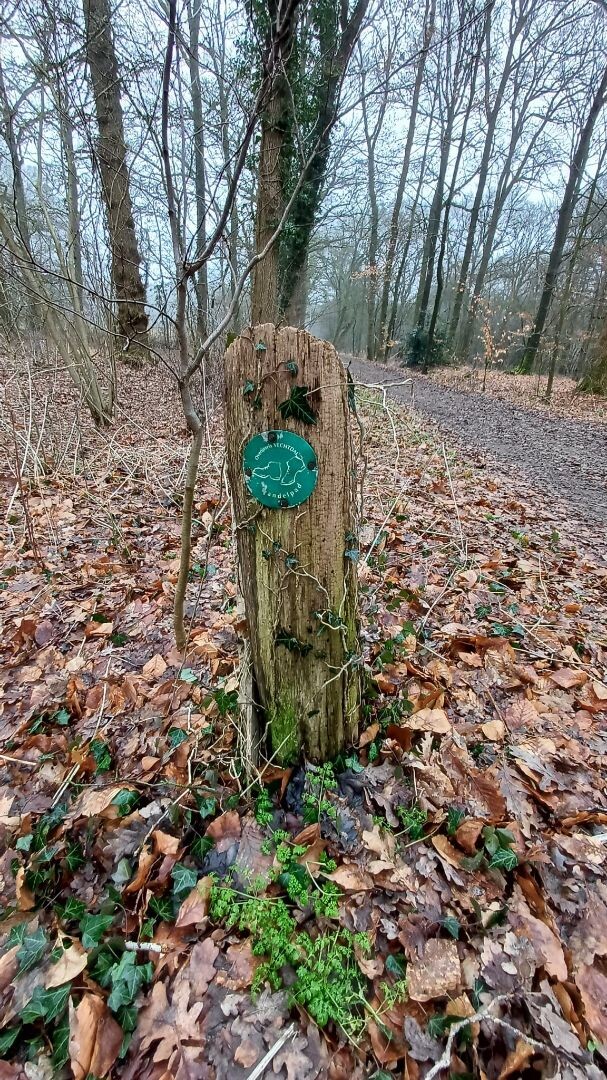 Dalfsen - Ommen · Vechtdalpad etappe 2