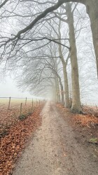 Historisch landgoed Nederrijk