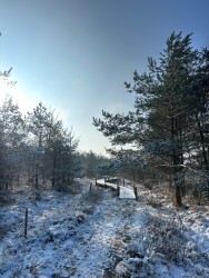 Wandelroute Boswandeling Spier
