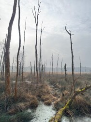Theo's tochtje