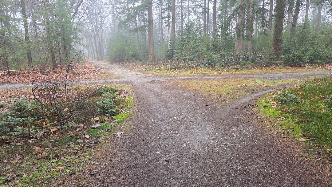 Sallandse Heuvelrug-groen