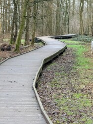 Boswachterspad Bergse Bossen