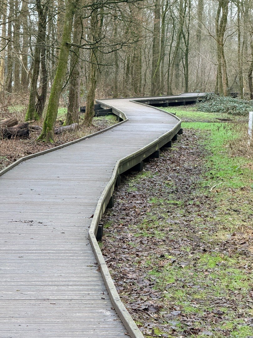 Boswachterspad Bergse Bossen