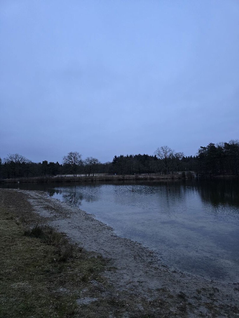 Eerste wandelingetje van het weekend bij de Klashorst