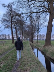 Rheezerbelten - Blauw