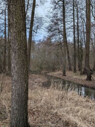 Rheezerbelten - Blauw