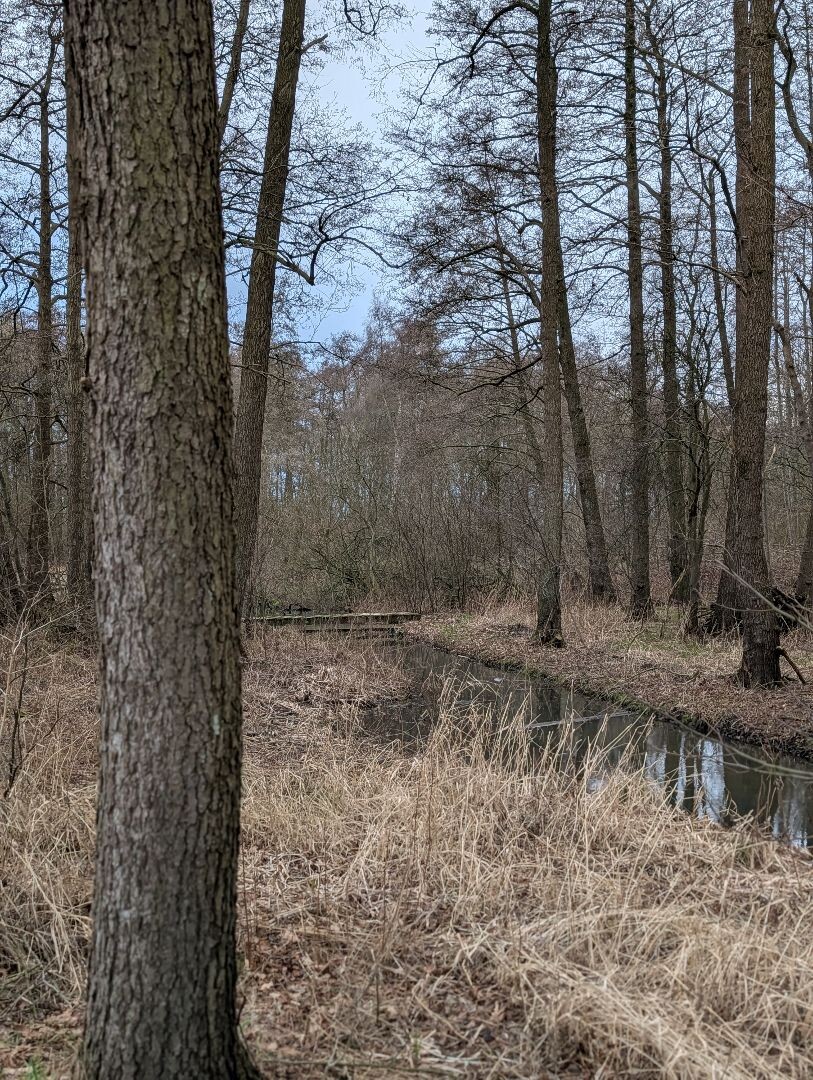 Hardenberg Wandelen - Blauwe route