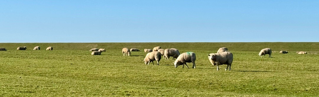 Hippolytushoef - Afsluitdijk · Nederlands Kustpad 2 etappe 13