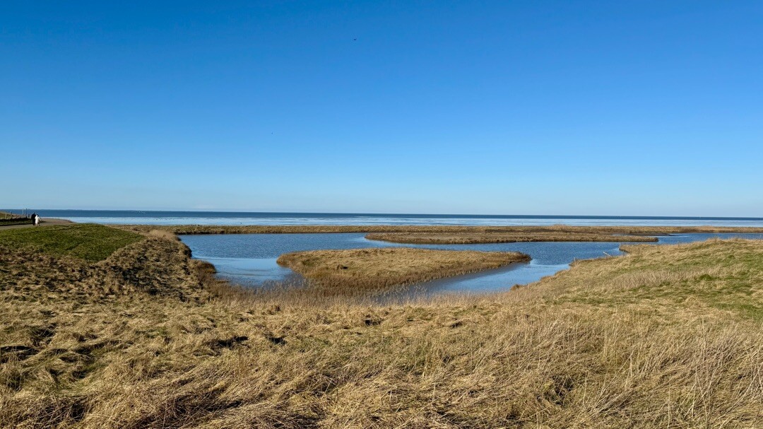 Breezand naar Den Oever - "Yn de ofsluitdoik" · NederRandpad etappe 73