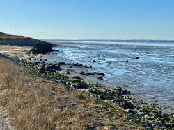 Hippolytushoef - Afsluitdijk · Nederlands Kustpad 2 etappe 13