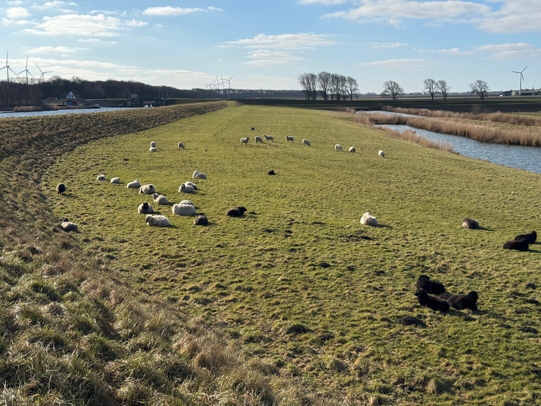 Anna Paulowna - Hippolytyshoef · Nederlands Kustpad 2 etappe 12