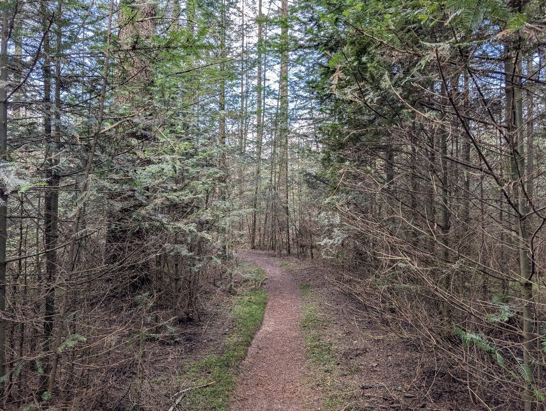 Bosheideroute Gees ❤️14-02-2026❤️