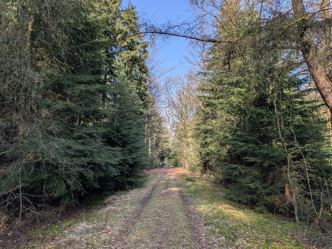 Bosheideroute Gees ❤️14-02-2026❤️