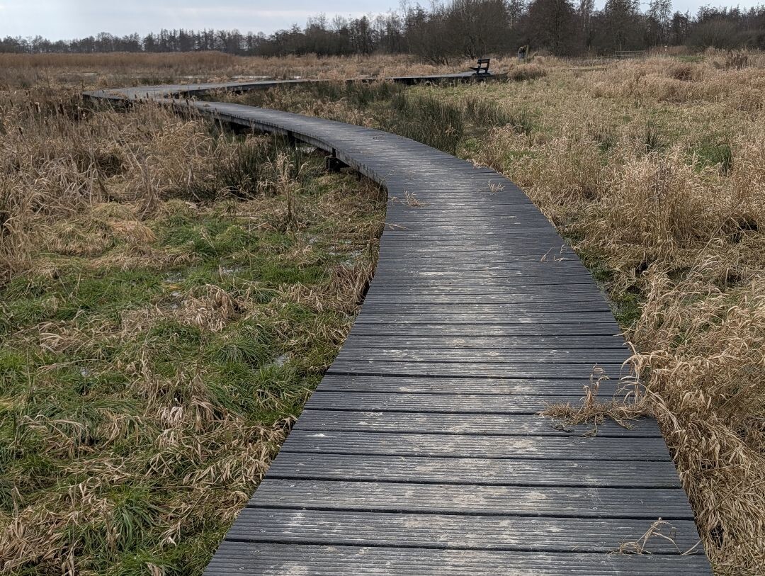 Geeserstroom ❤️14-02-2026❤️