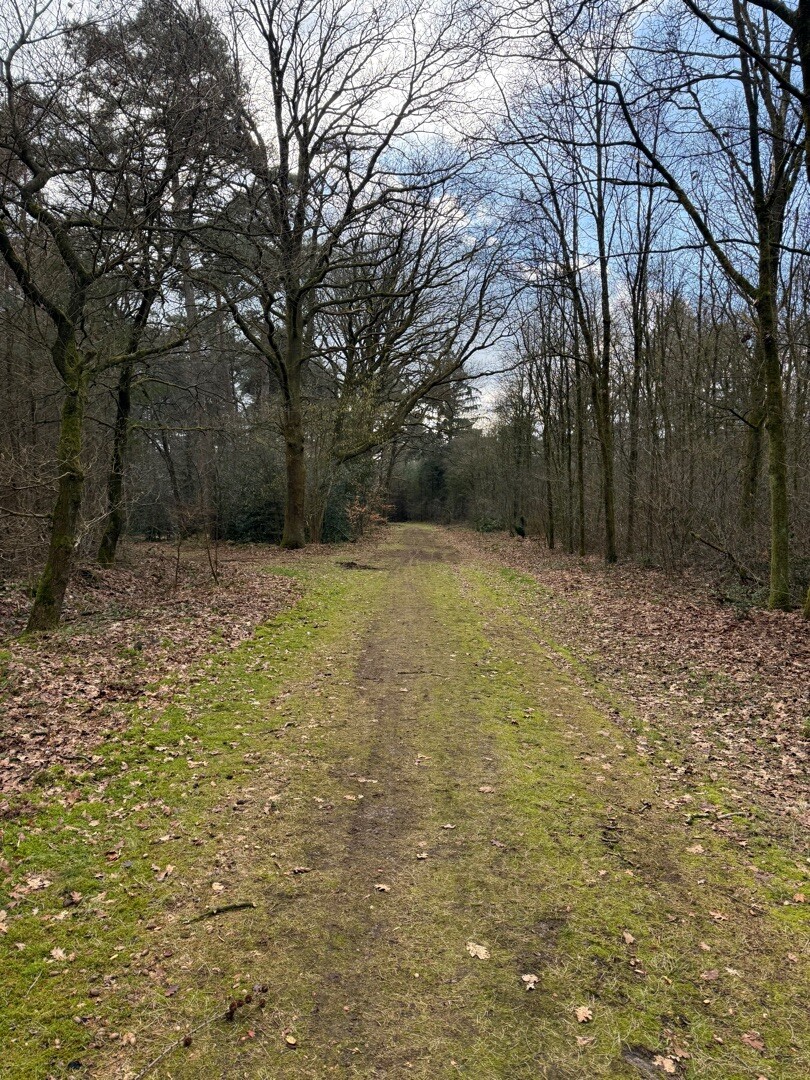 Klompenpad Bruilschepad verkorting Zuid