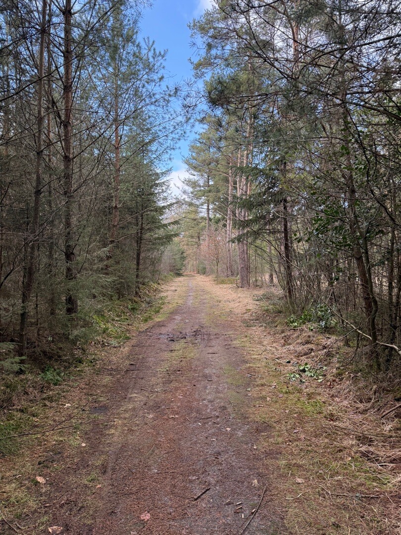 Klompenpad Bruilschepad verkorting Zuid