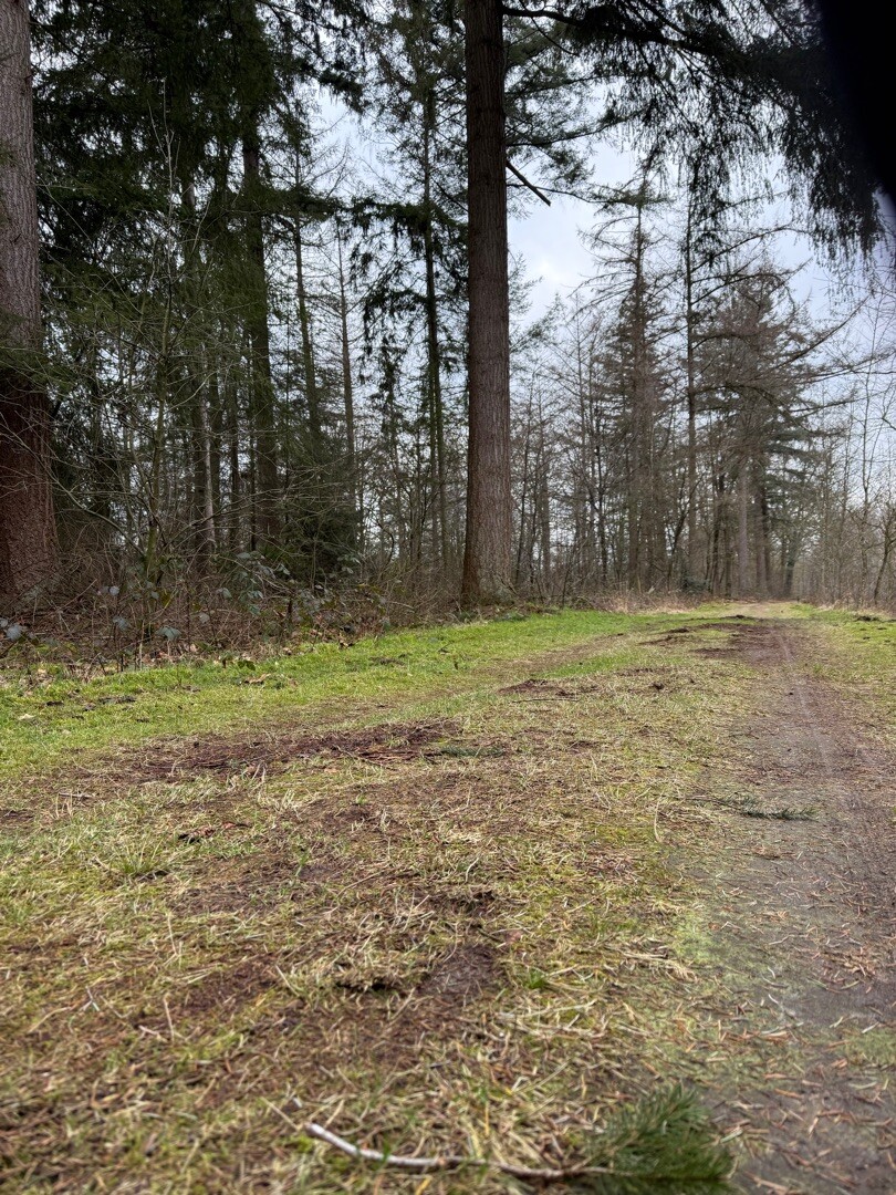 Klompenpad Bruilschepad verkorting Zuid