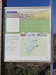 Wandelroute Groene Jonker: vogels