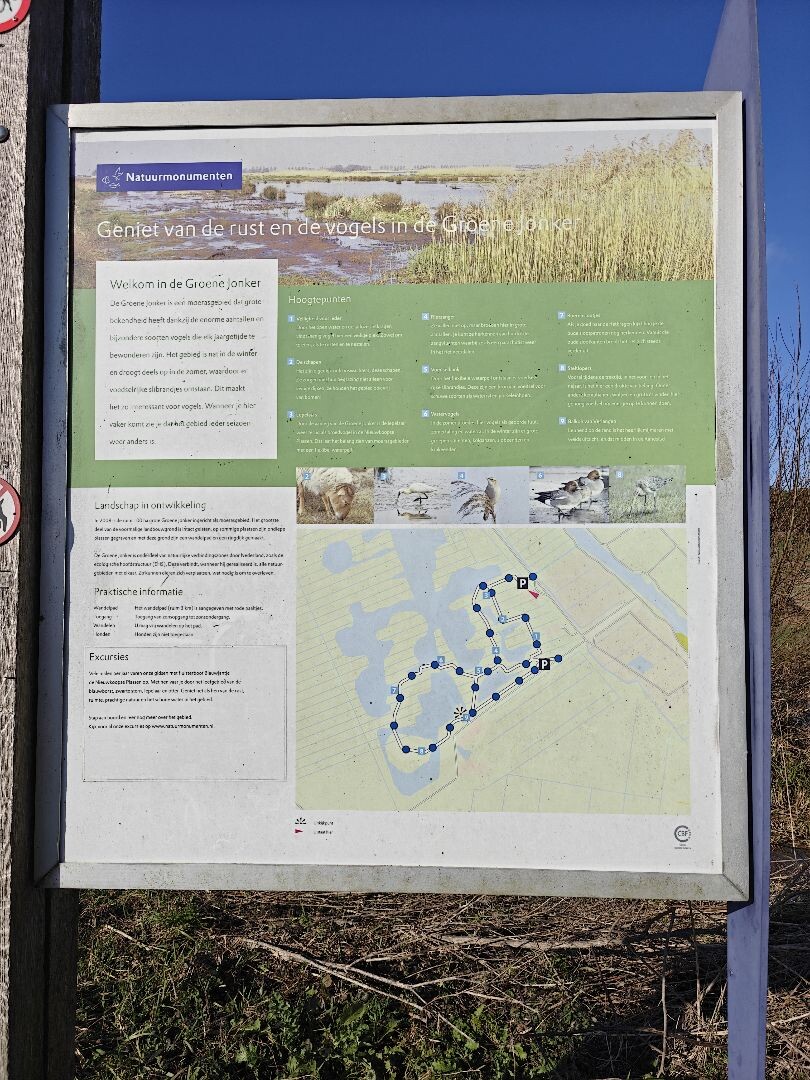 Wandelroute Groene Jonker: vogels