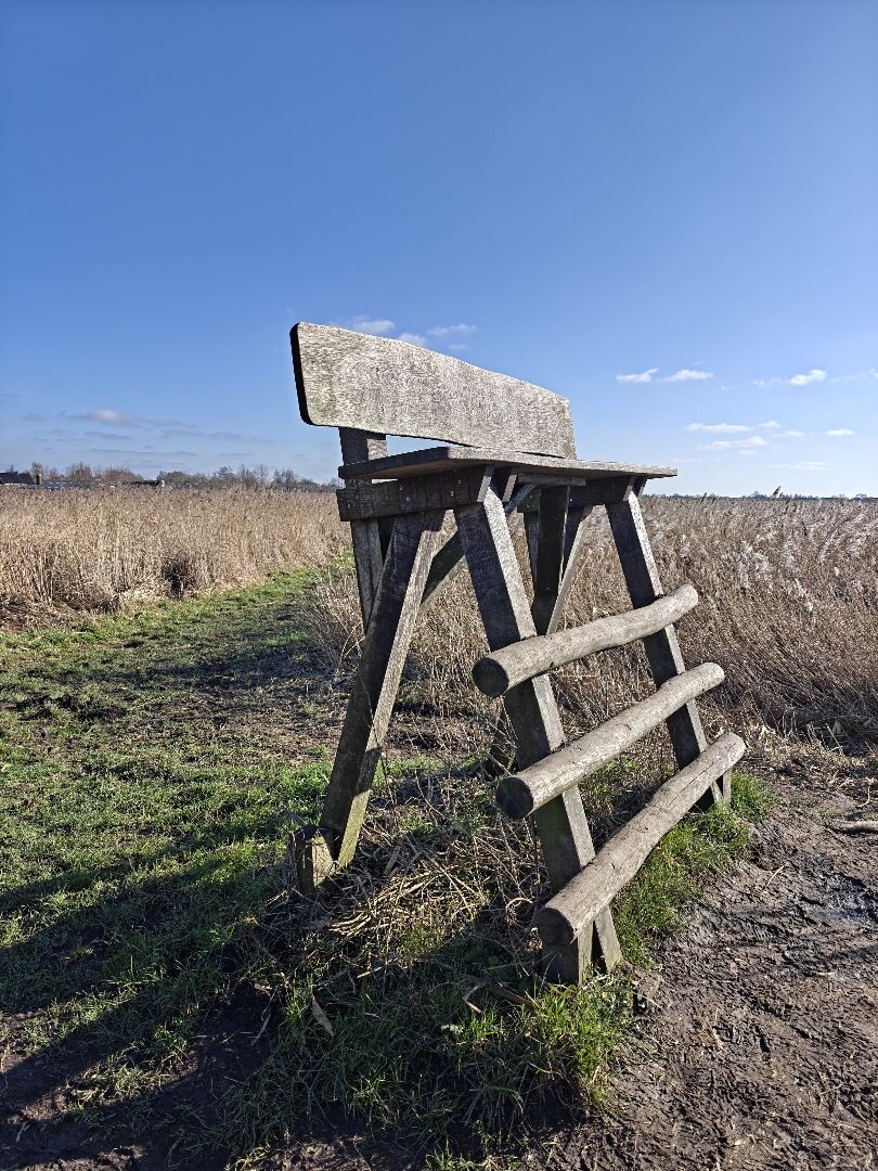Winterwandelroute in de Groene Jonker
