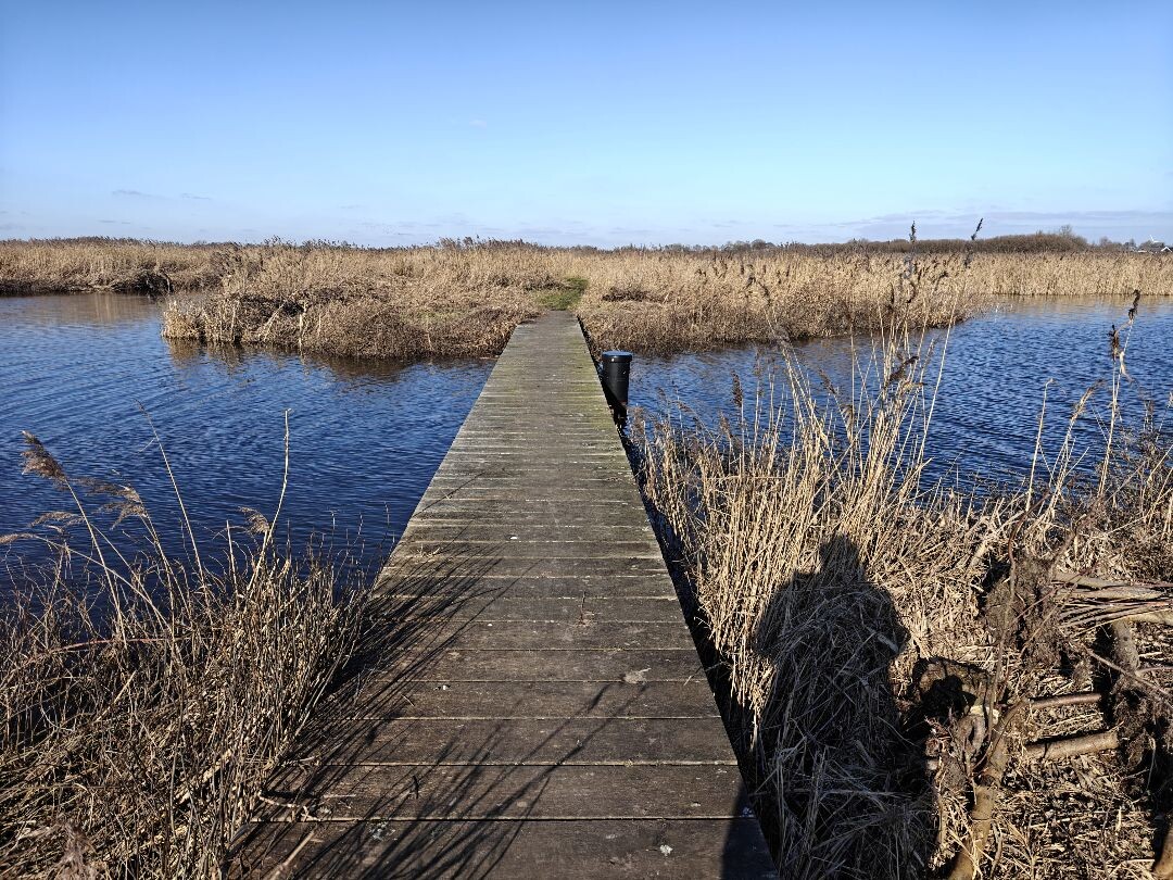 Winterwandelroute in de Groene Jonker