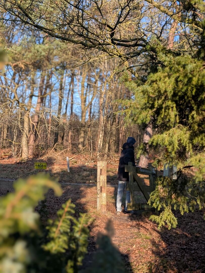 Junner Koeland route