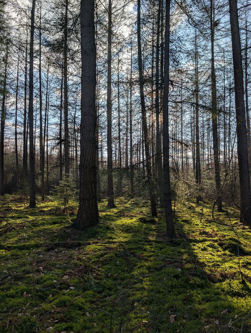 Junner Koeland route