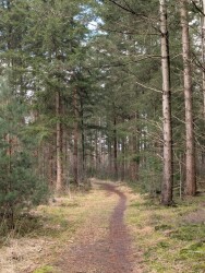 Junner Koeland route