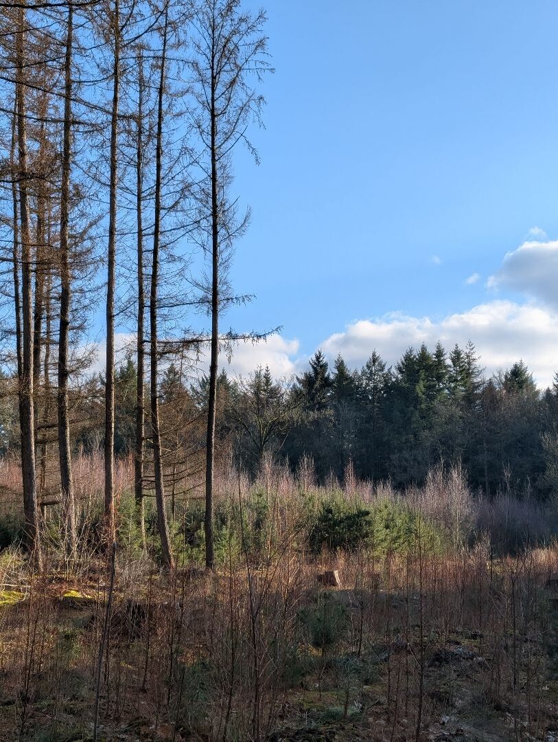 Junner Koeland route