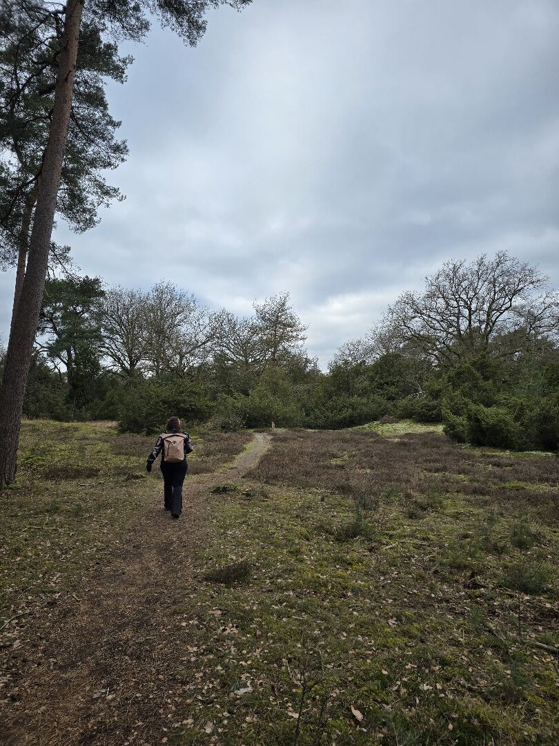 Boswachterspad Arriër-Esch