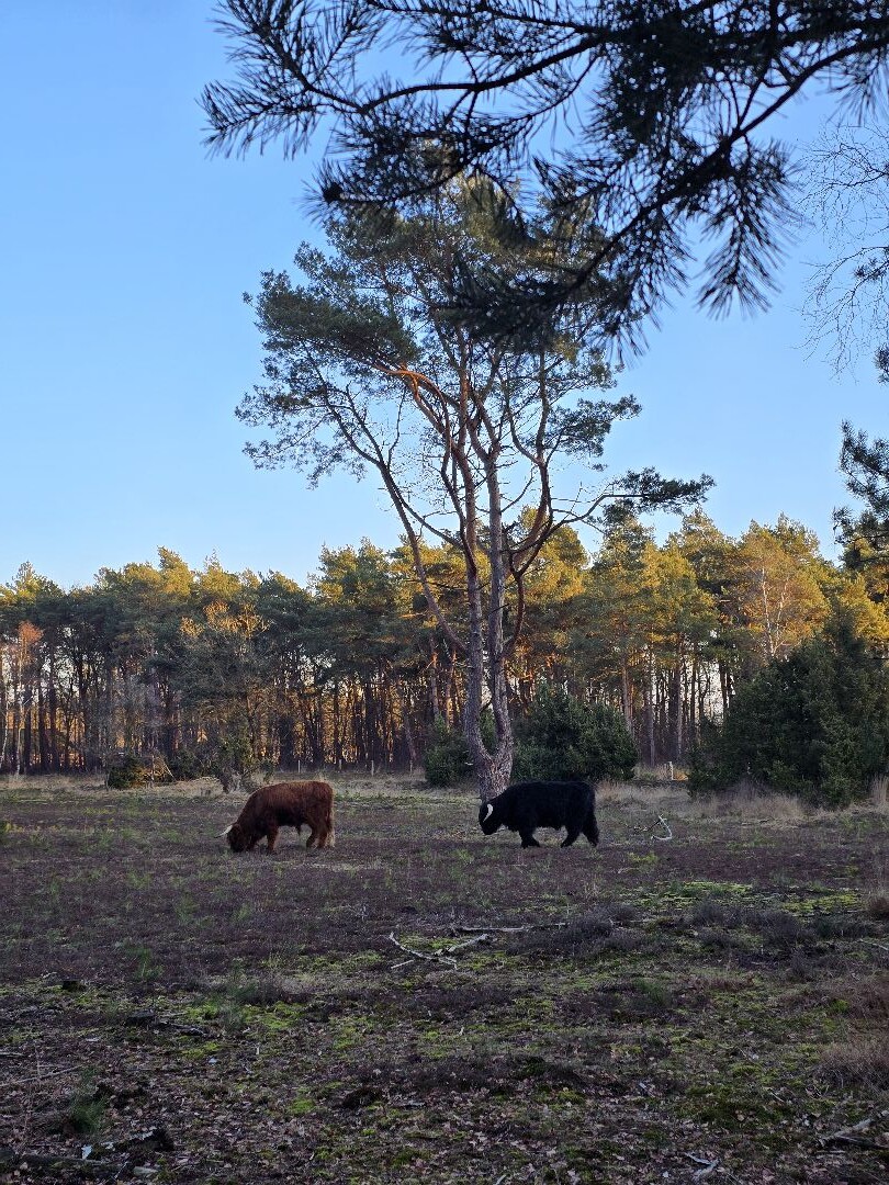 Junner Koeland route in het Vechtdal
