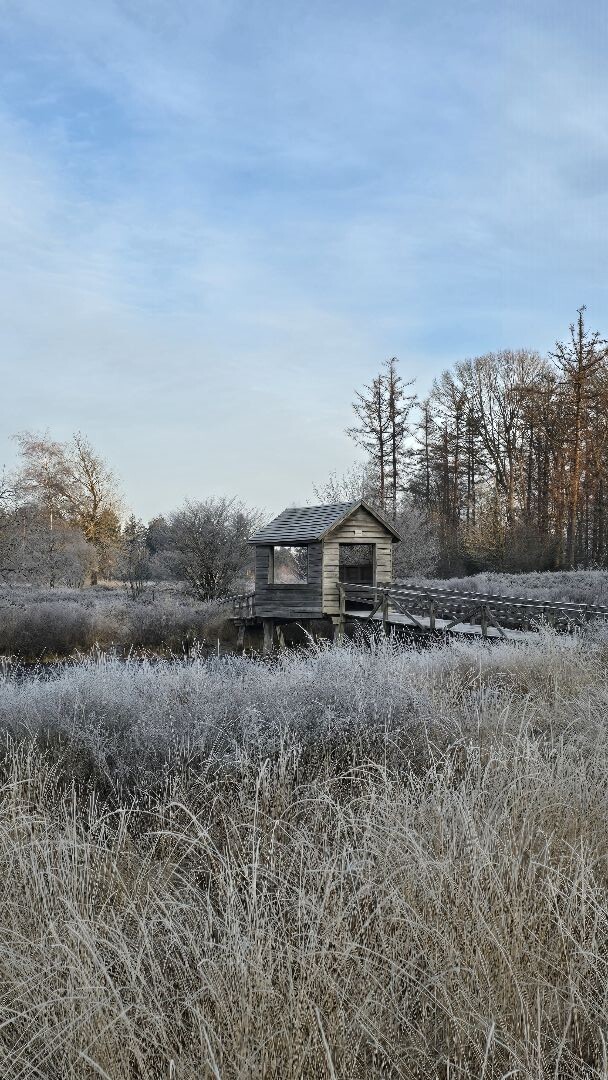 Trailrun Vechtdal in de vrieskou