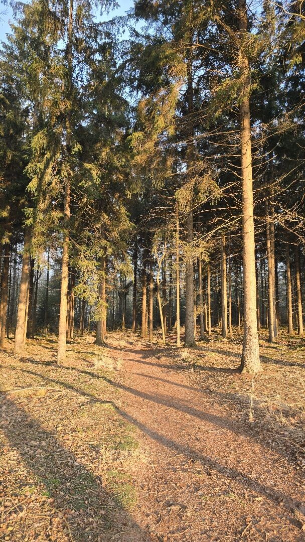 Trailrun Vechtdal in de vrieskou