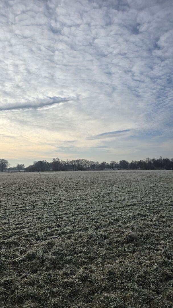 Trailrun Vechtdal in de vrieskou