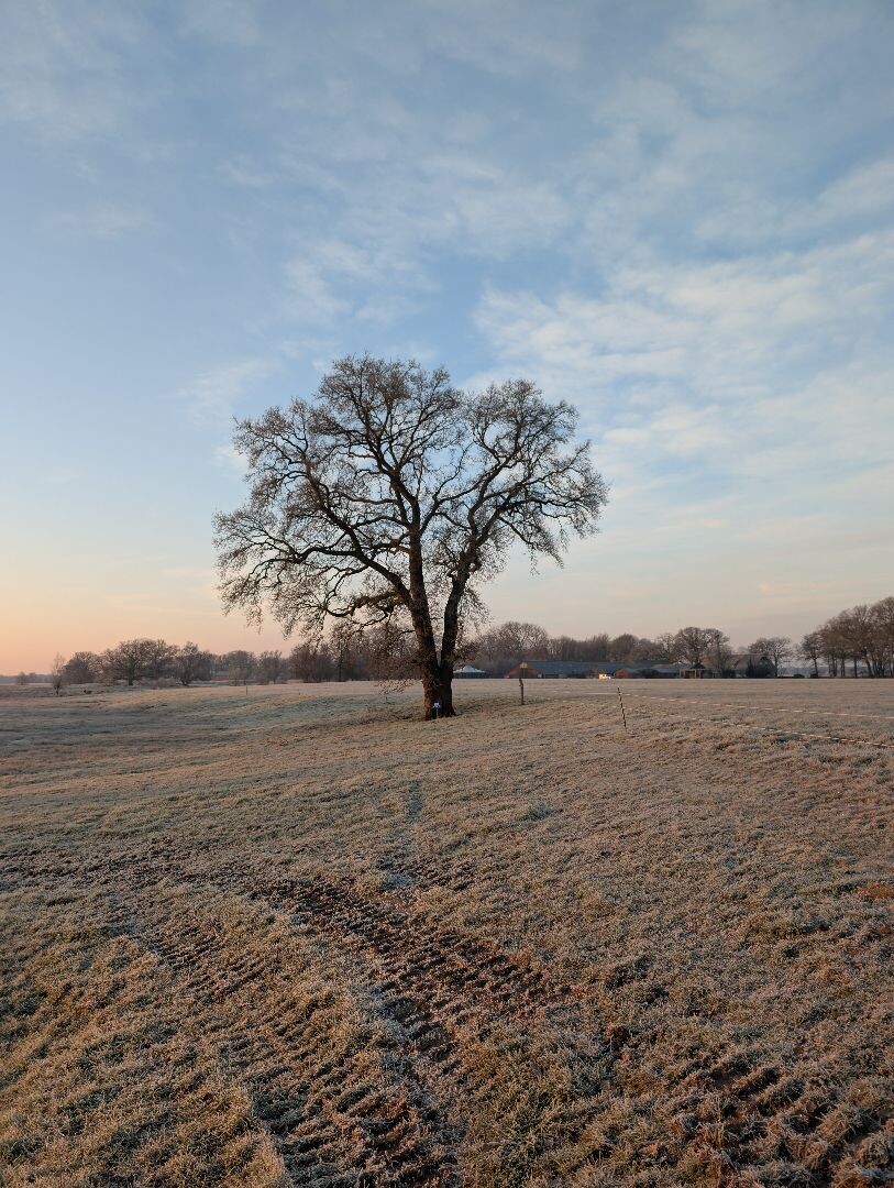 De Oldemeijer - Blauw
