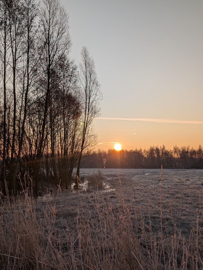 De Oldemeijer - Blauw