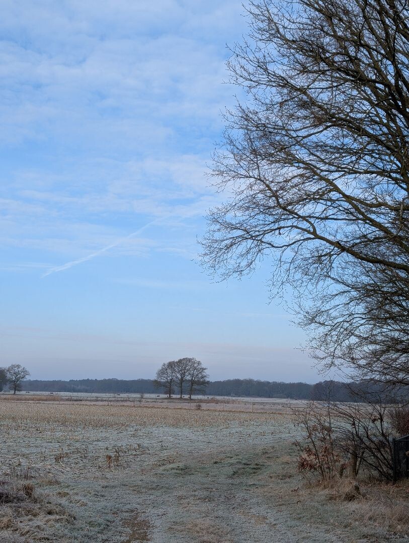 Struinen langs de Vecht en vervolgens de groene route