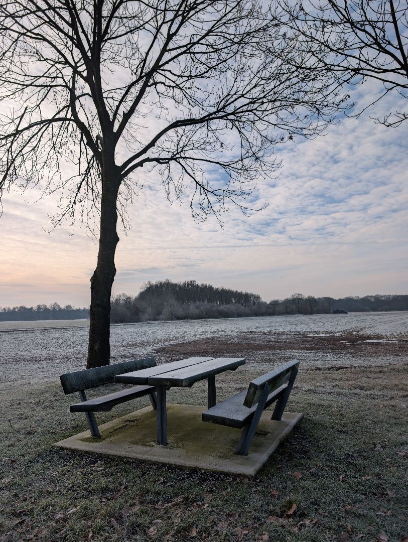 Struinen langs de Vecht en vervolgens de groene route