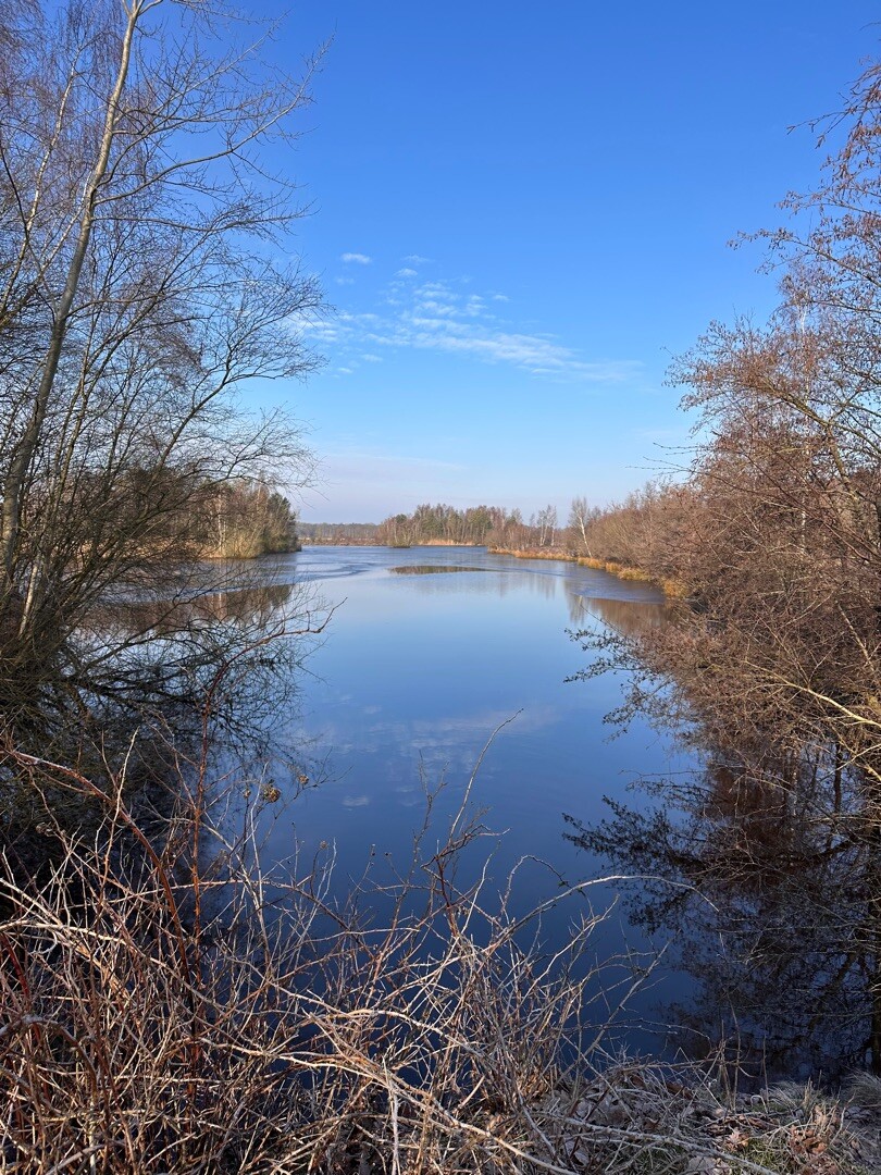 Oud Avereest - Oranje