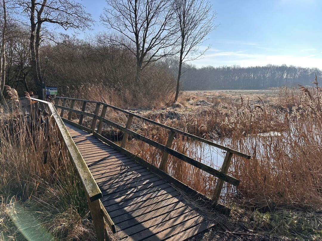 Oud Avereest - Oranje