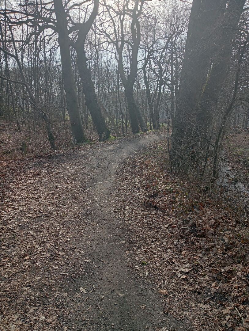 Een mooie boswandeling op het landgoed releare