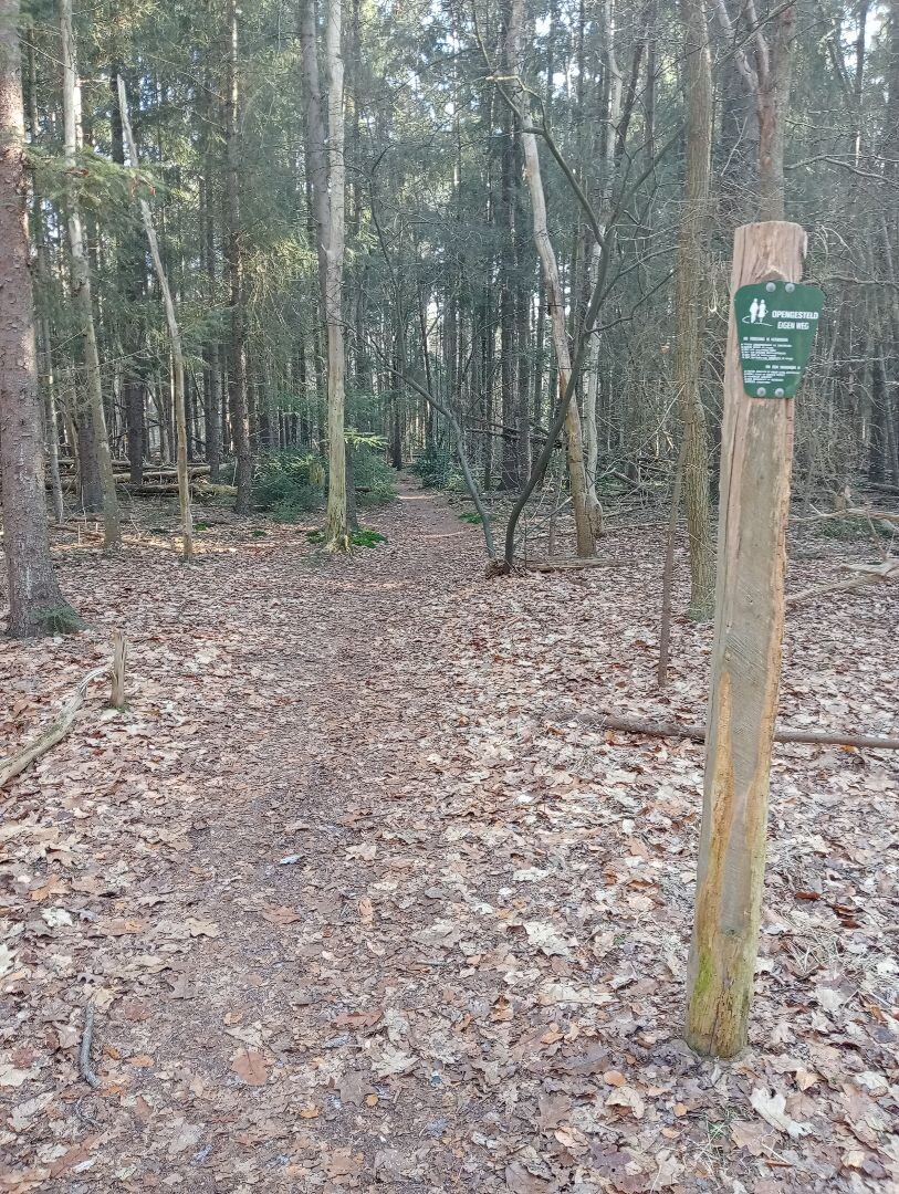 Een mooie boswandeling op het landgoed releare