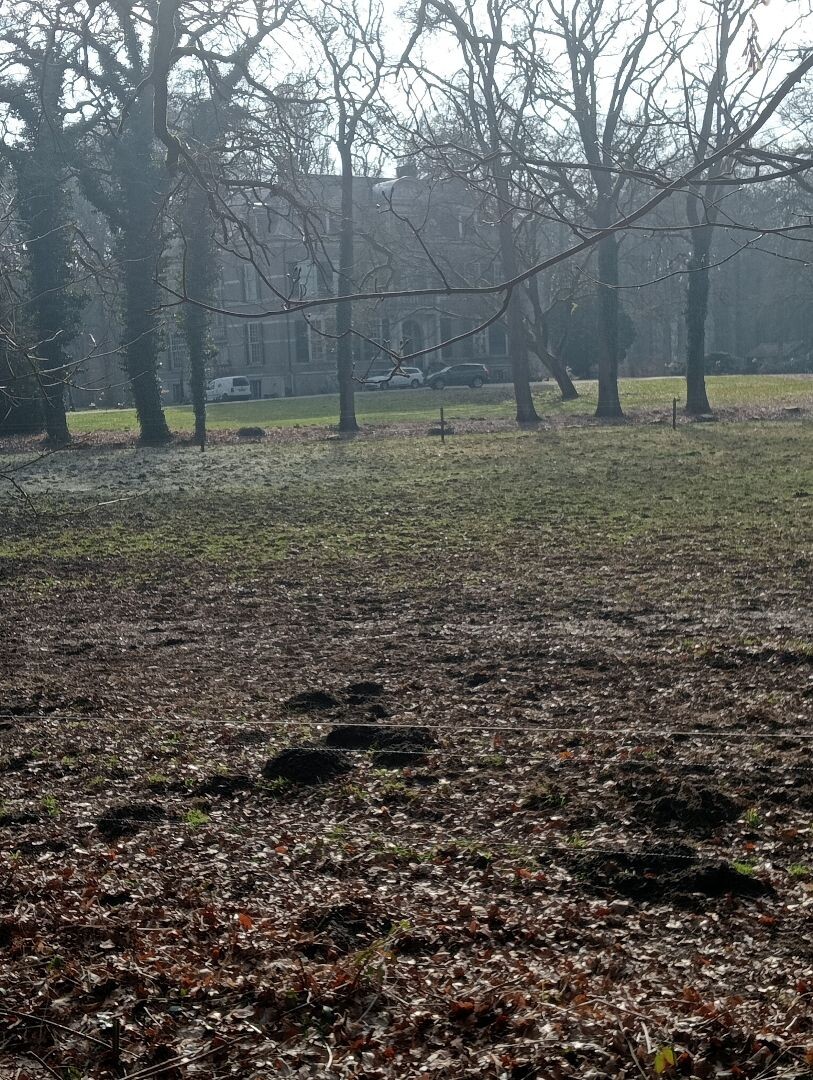 Een mooie boswandeling op het landgoed releare