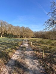 Oud Avereest - Rood