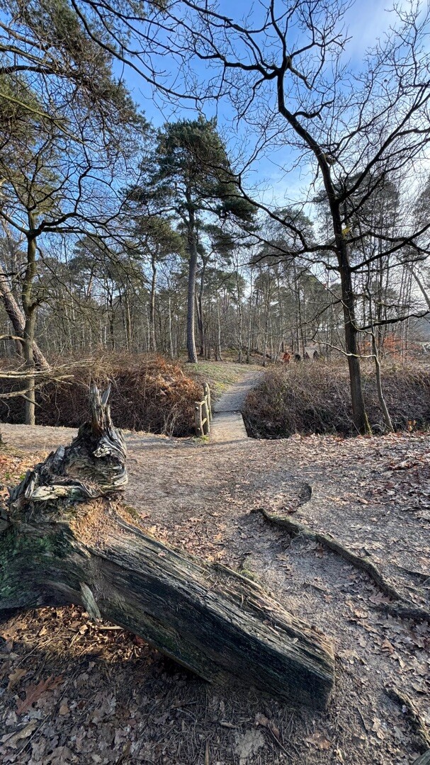 TOP Natuur wandelroute Oisterwijkse Bossen & Vennen
