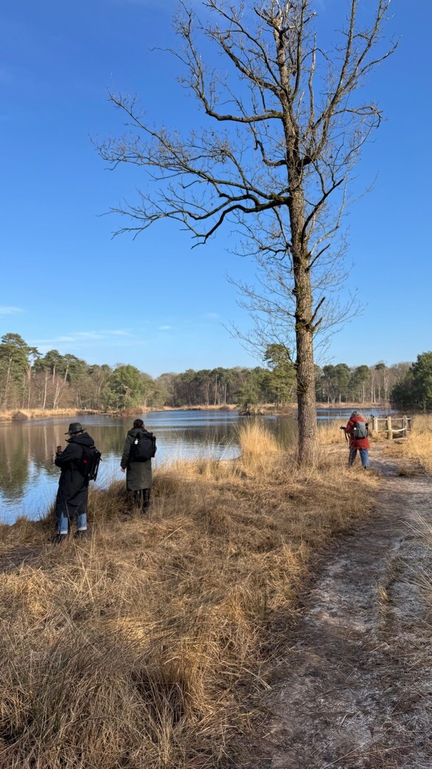 Van esschenven Oisterwijk