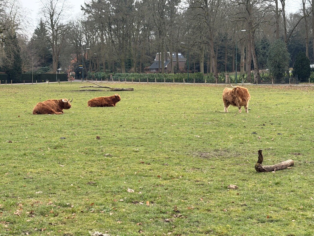 Langs landhuizen rn bossen van Baarn