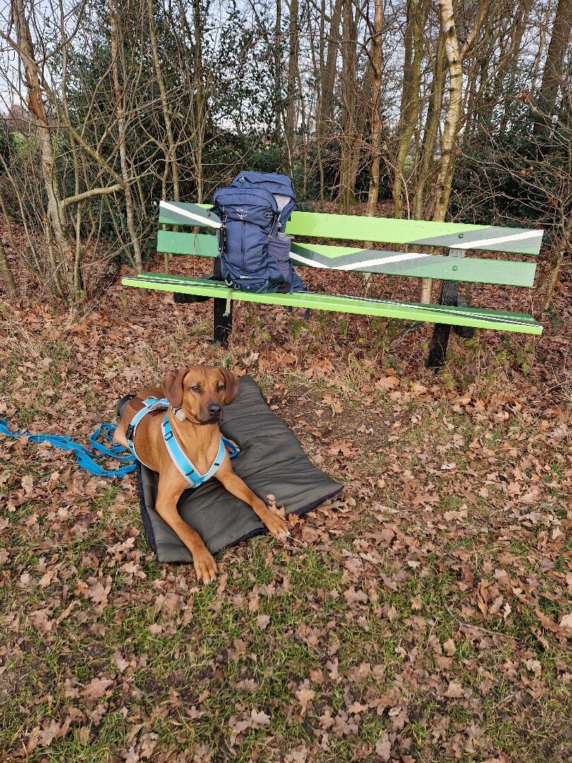 Mooi Achterhoek: struinen rondom IJzerlo (Aalten)